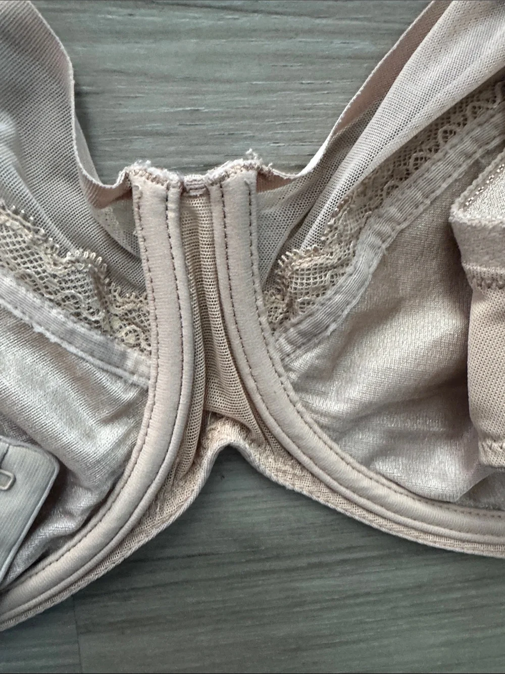 Chantelle Unlined Sheer Mesh Bra in Light Blush